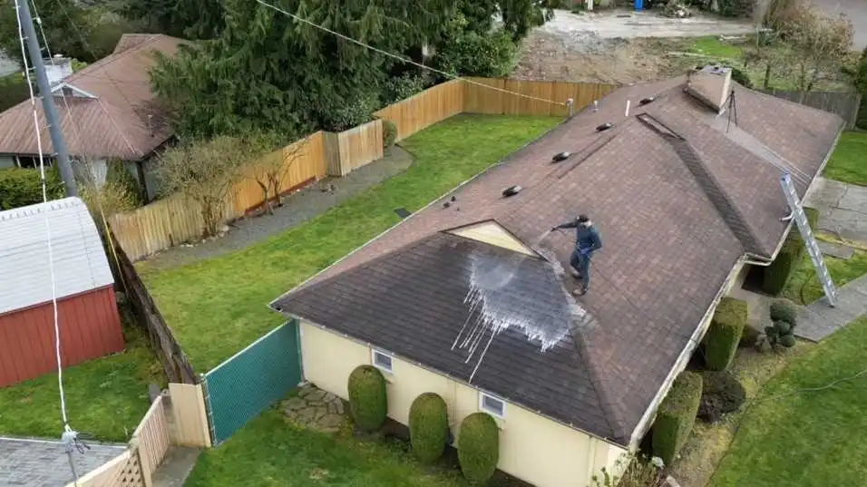 Professional roof cleaning services in action