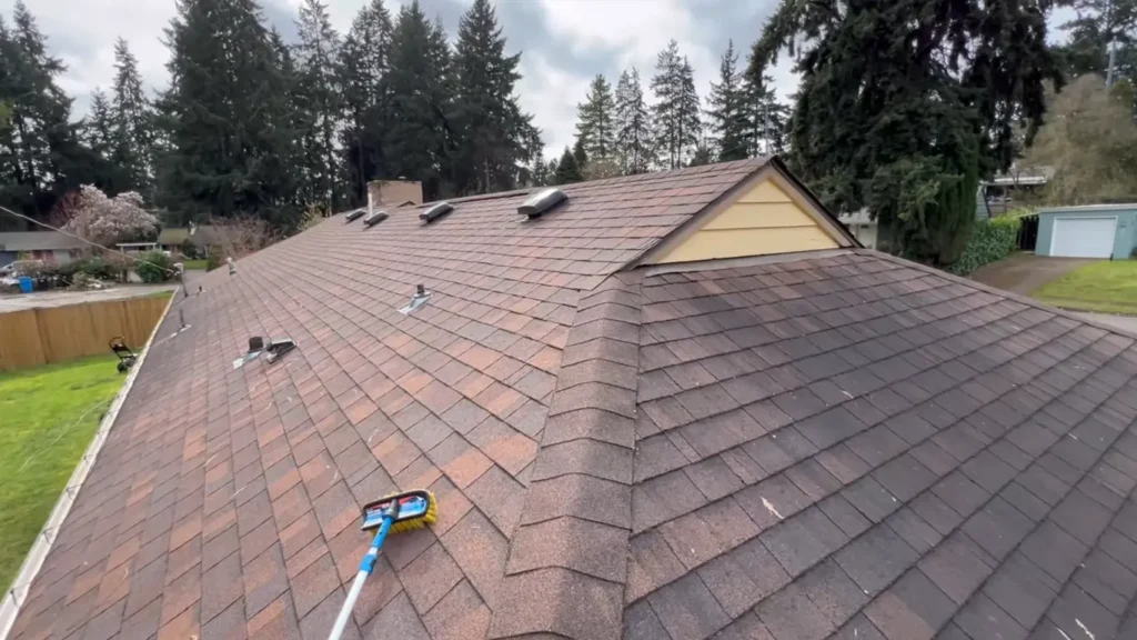 Roof Cleaning Experts in the UK