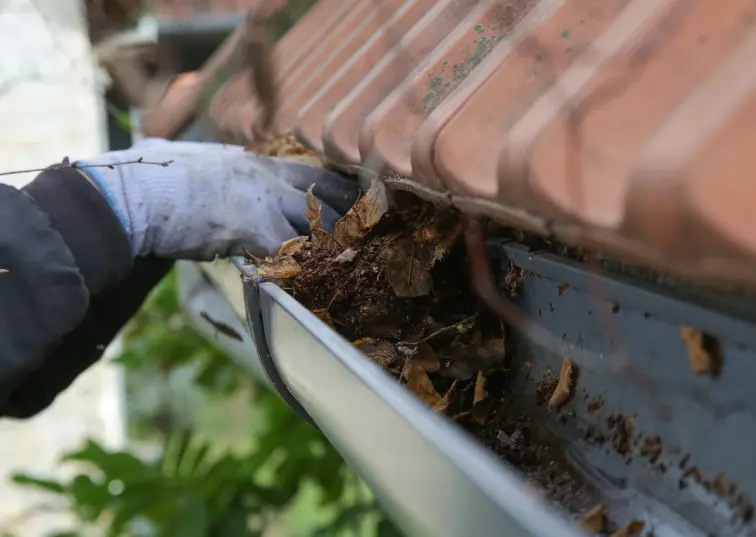 Prevent clogged gutters and maintain your property in West Ham