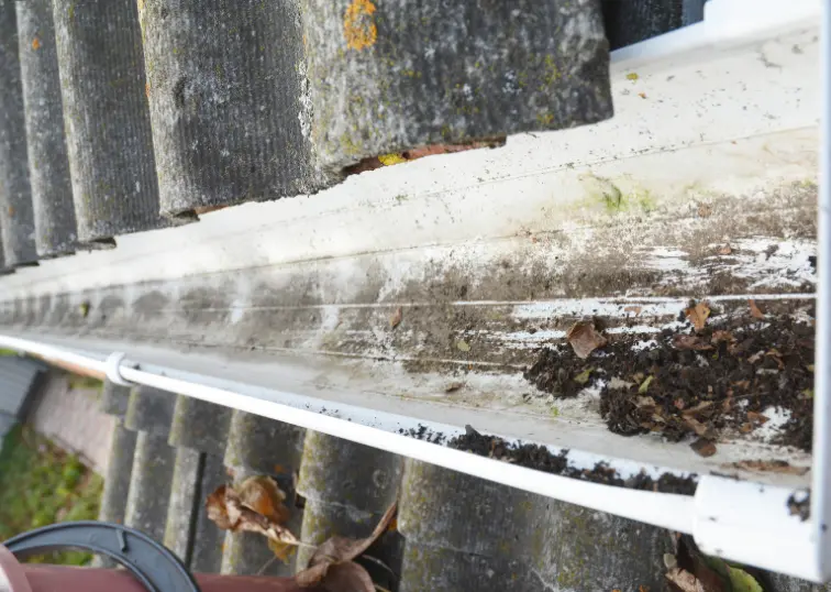 This detailed shot illustrates the effectiveness of AE Exterior Cleaning Ltd.'s gutter cleaning services in Manor Park, focusing on a clear and unobstructed downpipe.