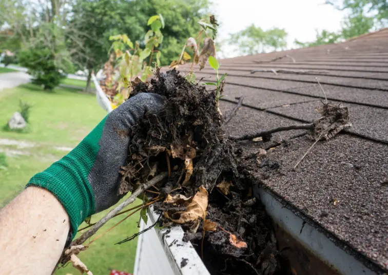 view of AE Exterior Cleaning Ltd.'s gutter cleaning services in East Ham