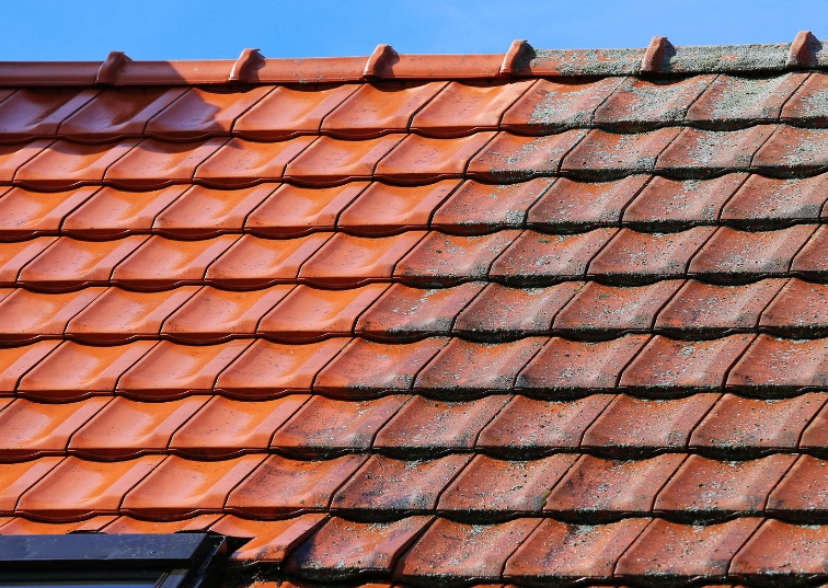 Expert roof cleaning in East Ham by AE Exterior Cleaning Ltd., enhancing a residential property.
