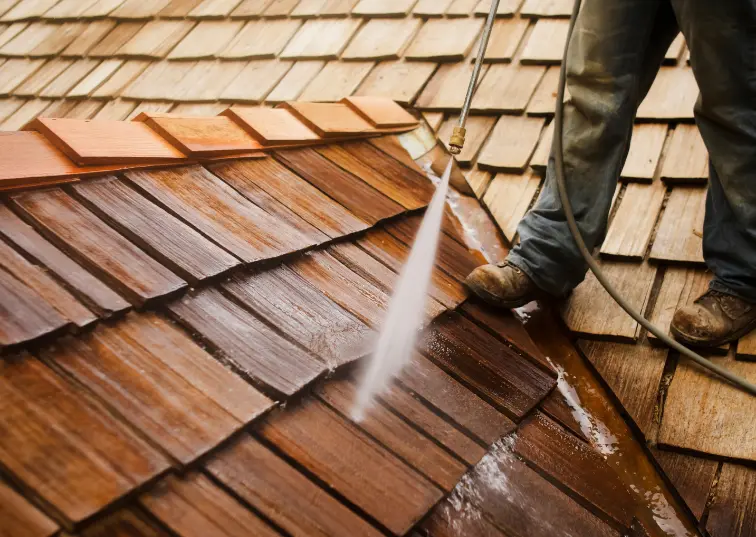 Professional roof cleaning services in Forest Gate, removing moss by AE Exterior Cleaning Ltd.